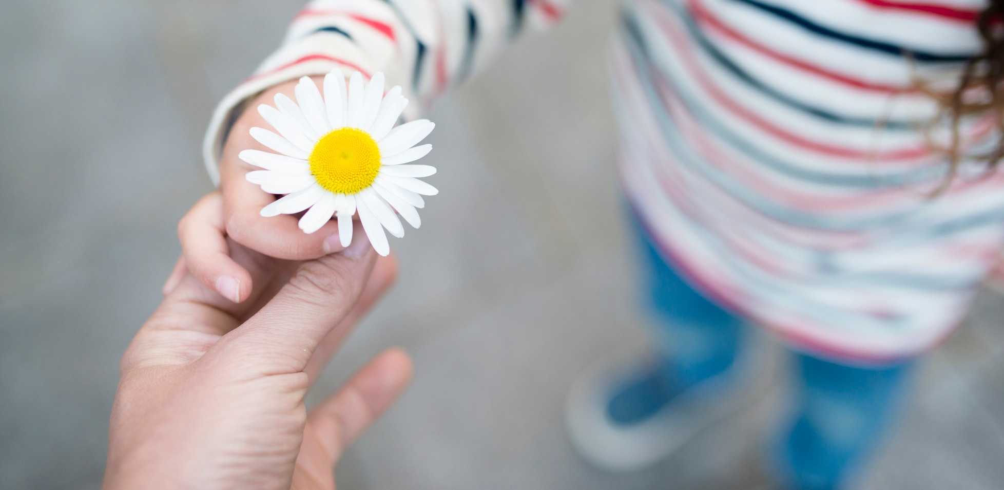 Being Grateful and Finding Positivity as an Expat