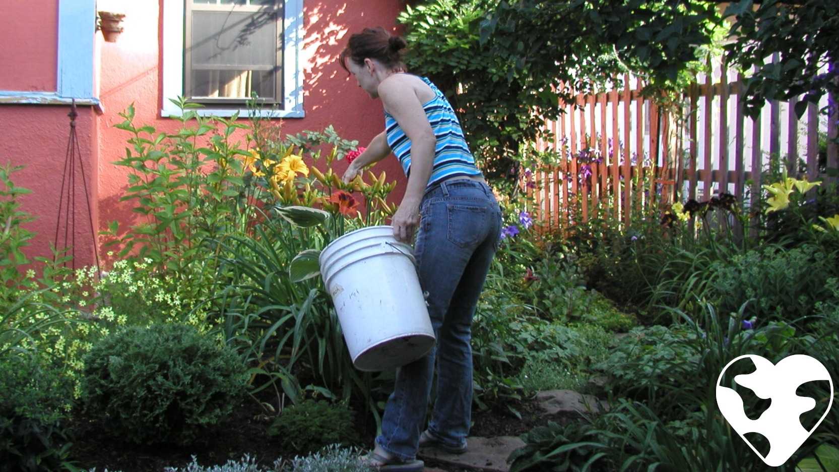 (Re)Discovering Your Passion Abroad — Down in the Shrubs