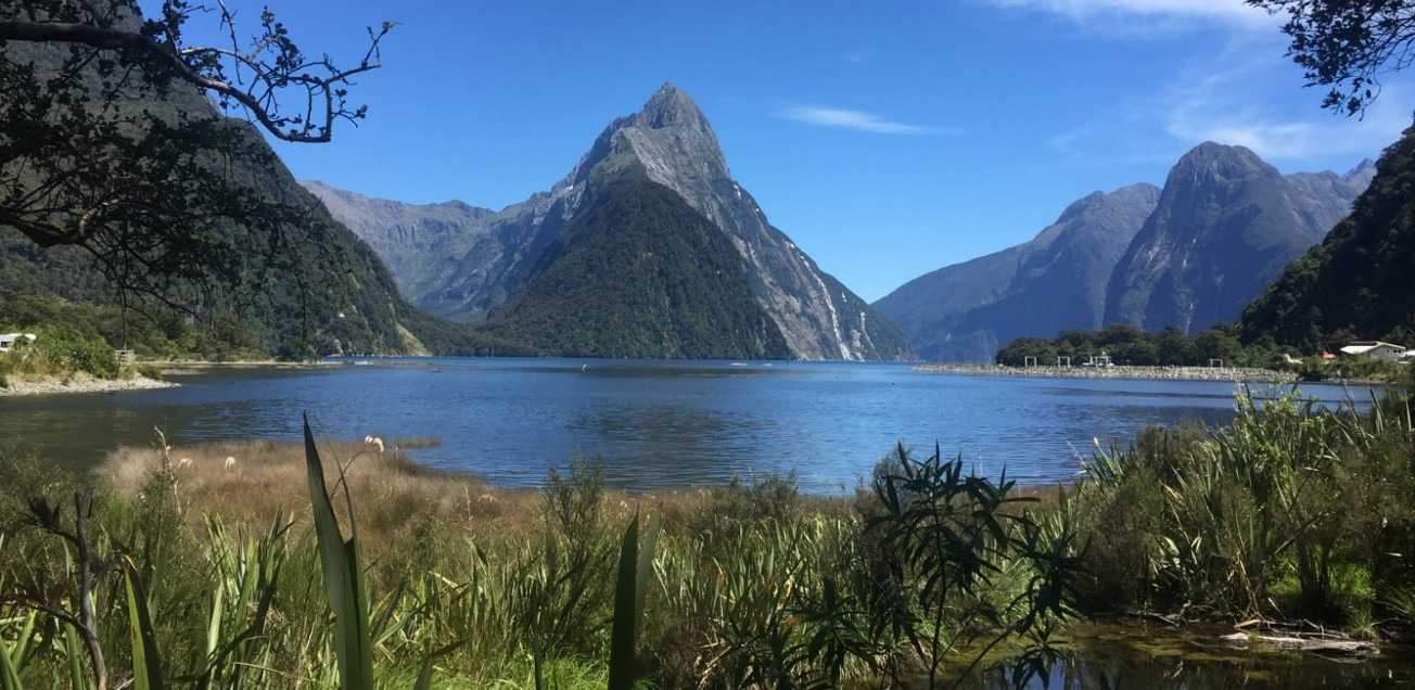 Top 8 Things That Make New Zealand a Perfect Expat Destination