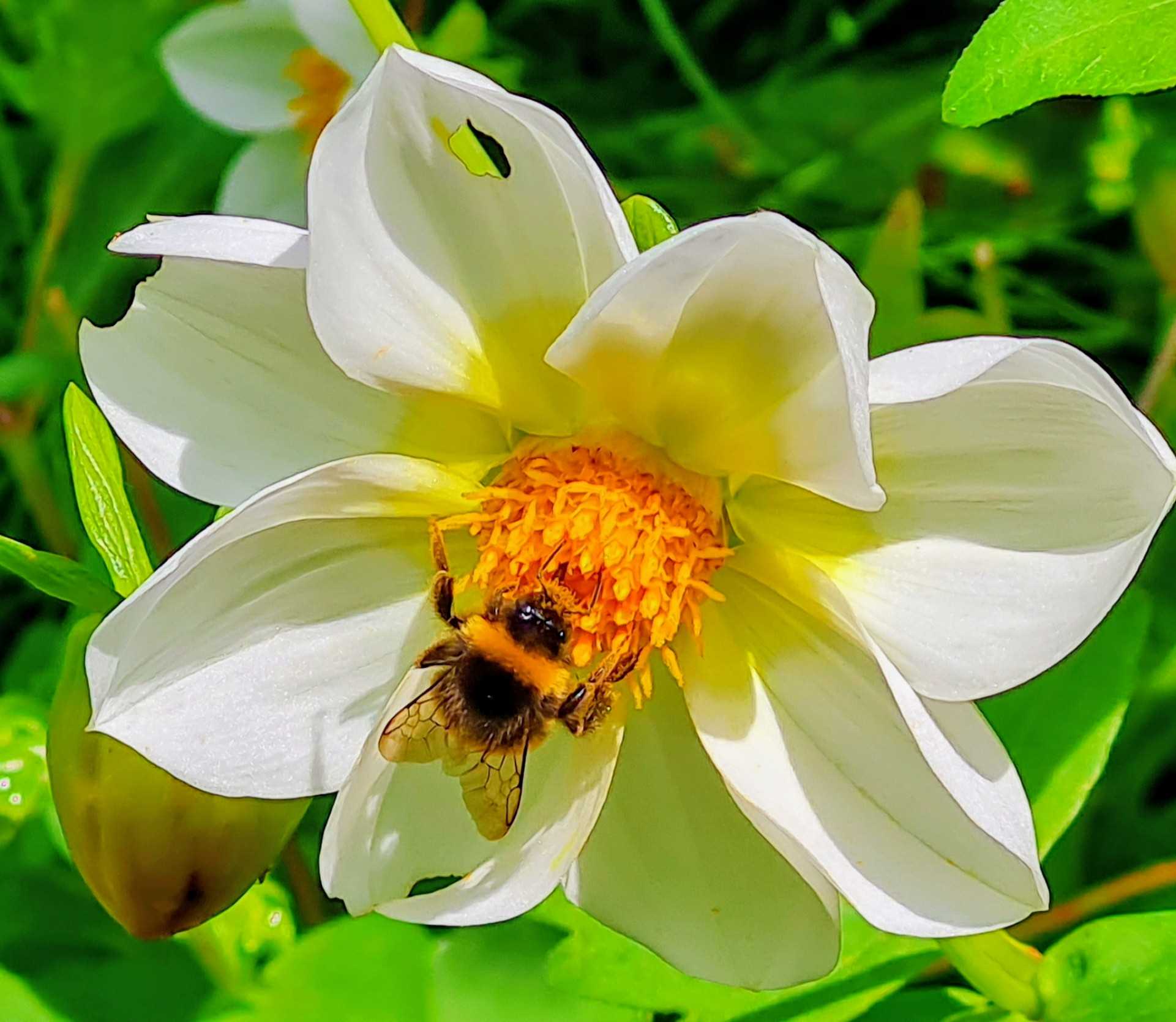 Events in August: A Month of Photography, Travel & Delight