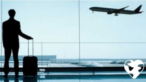How to Turn Your Passion into a Career Abroad