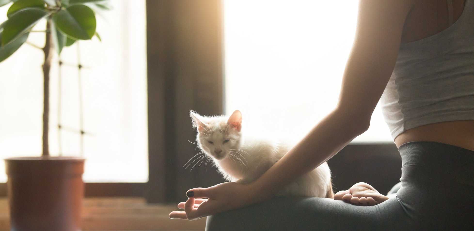 How to Take Care of Your Physical and Mental Health while Being Stuck at Home