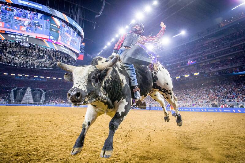 Cancelled Houston Rodeo Super Shootout Houston Explore Texas Group