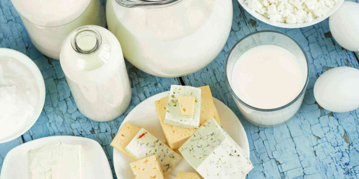 Is eating dairy products UNETHICAL ? Let's discuss - Wolfsburg Health ...
