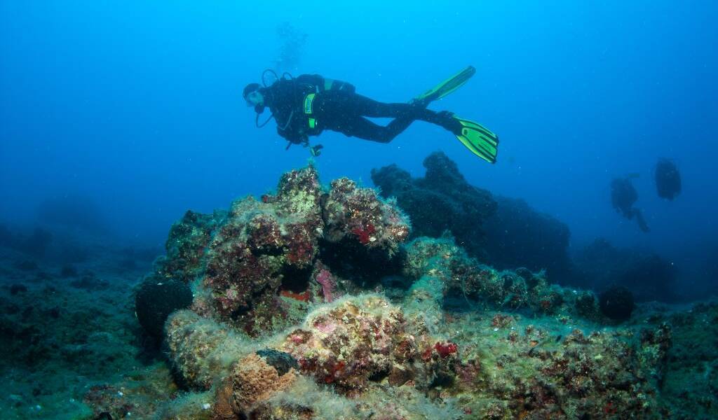 Are You Ready to Open Diving Season? Istanbul Diving Group InterNations