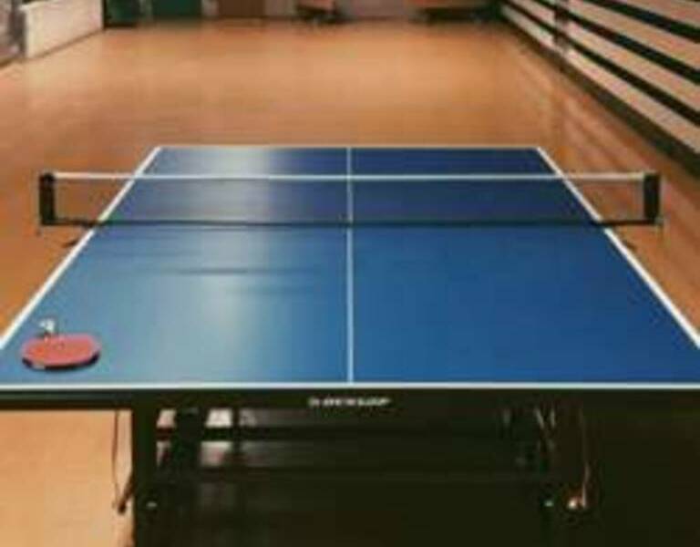 Table Tennis for Fun and Exercise – Hong Kong Racket Sports Group