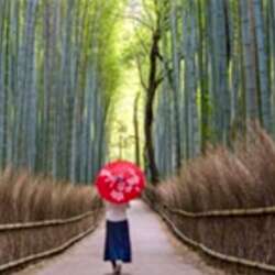 Event Cover Photo