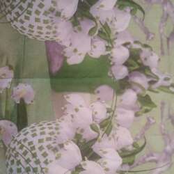 Event Cover Photo