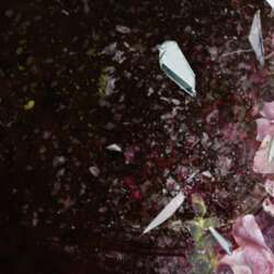 Event Cover Photo