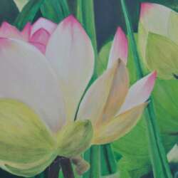 Event Cover Photo