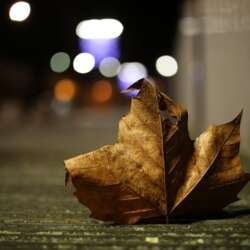 Event Cover Photo