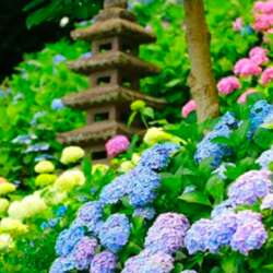 Event Cover Photo