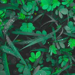 Event Cover Photo