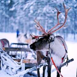 Event Cover Photo