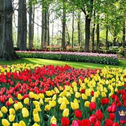 Event Cover Photo