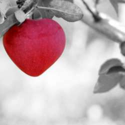 Event Cover Photo