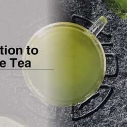 Event Cover Photo