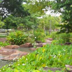 Event Cover Photo