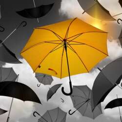 Event Cover Photo