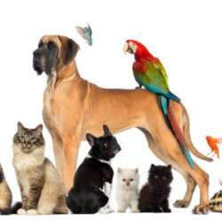 Event Cover Photo