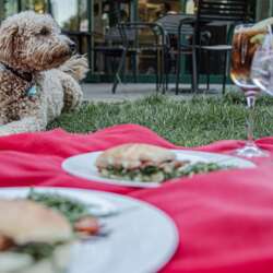 Event Cover Photo