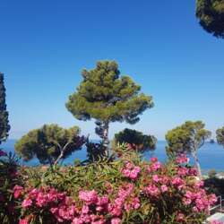 Event Cover Photo