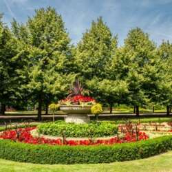 Event Cover Photo