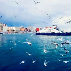 Event Cover Photo