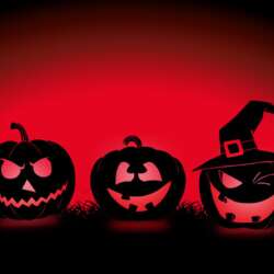Event Cover Photo