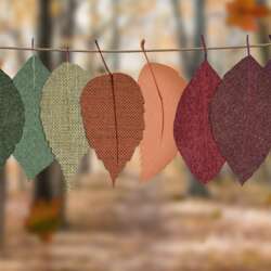 Event Cover Photo