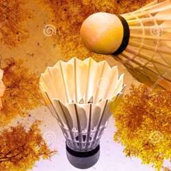 Event Cover Photo