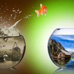 Event Cover Photo