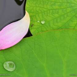 Event Cover Photo