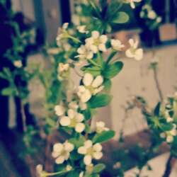 Event Cover Photo