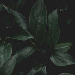 Event Cover Photo