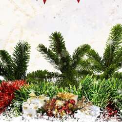 Event Cover Photo