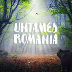 Event Cover Photo