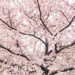 Event Cover Photo