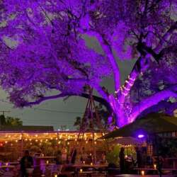 Event Cover Photo