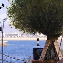 Event Cover Photo