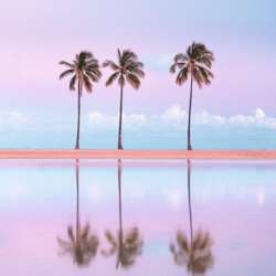 Event Cover Photo