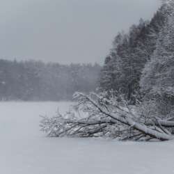 Event Cover Photo