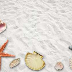 Event Cover Photo