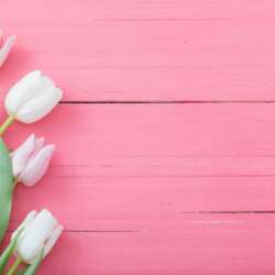 Event Cover Photo