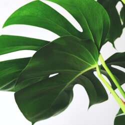 Event Cover Photo