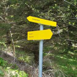 Semmering Panorama Hike Sonnwendstein Zauberberg Vienna Walking And Hiking Group Internations