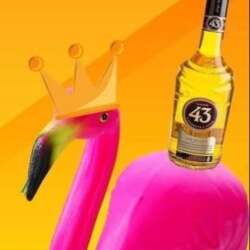 Event Cover Photo
