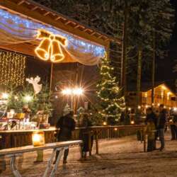 Waldweihnacht Am Baumkronenweg Linz Outdoors Group Internations