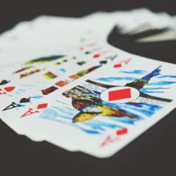 Event Cover Photo