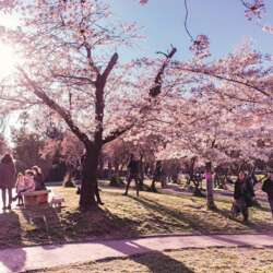 Event Cover Photo